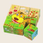 Picture of Nine Blocks Six Side Cube Puzzle