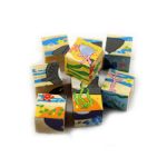 Picture of Nine Blocks Six Side Cube Puzzle