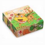 Picture of Nine Blocks Six Side Cube Puzzle