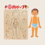 Picture of Human Body & Organs Puzzle Board