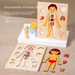 Picture of Human Body & Organs Puzzle Board