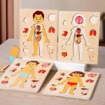 Picture of Human Body & Organs Puzzle Board