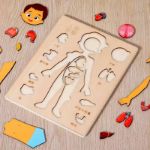 Picture of Human Body & Organs Puzzle Board